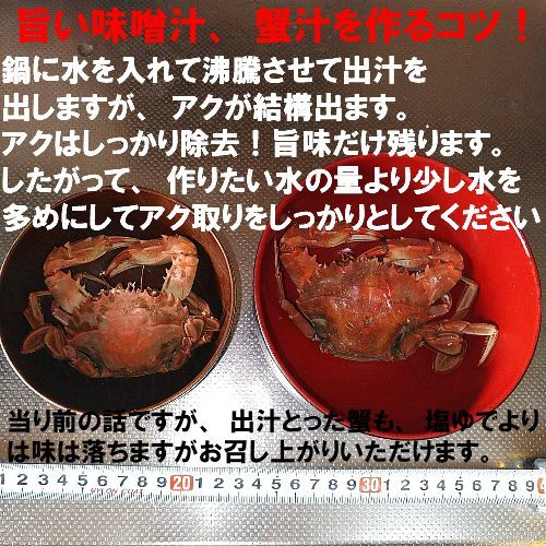 「冷凍出荷！石蟹小サイズ２kg」 カニ汁用！イシガニ 蟹汁 味噌汁 中華料理 目安2キロ 40杯程度 蟹料理  蟹出汁ラーメンに！贈答に！冷凍蟹 冷凍カニ