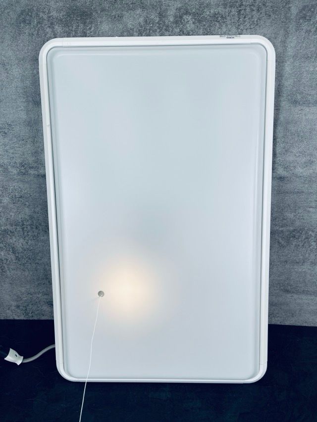 やまちん様専用 ODELICヴィンテージスタイルシーリングライト調光調色