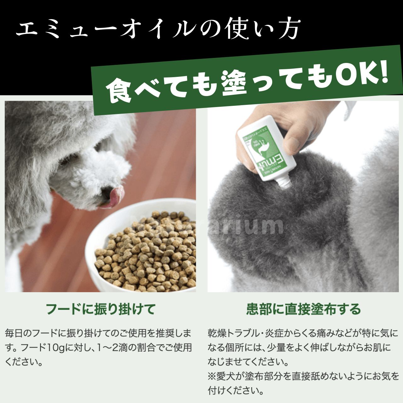 犬猫 ペット