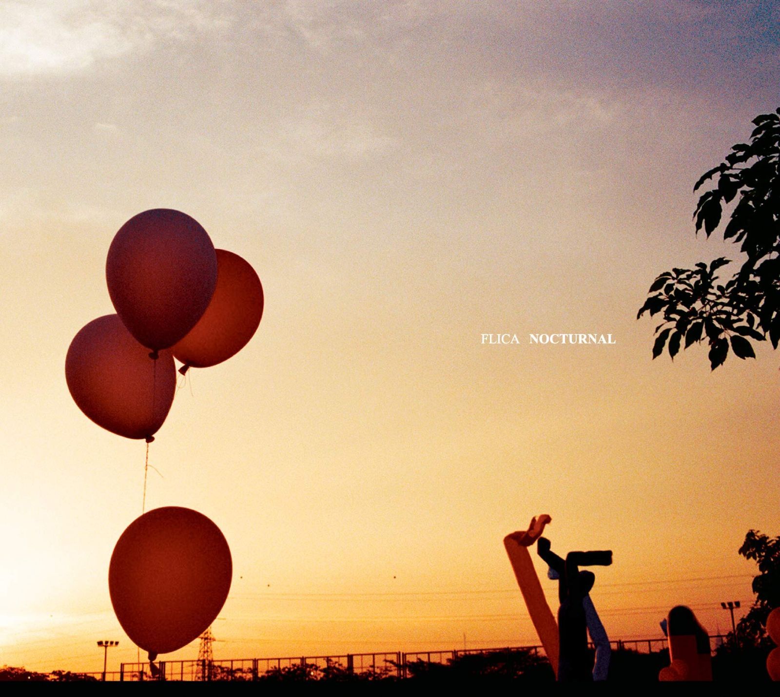 ワンピース 扉絵 ブロマイド イベント 限定 ドリー ブロギー 117話 非売品