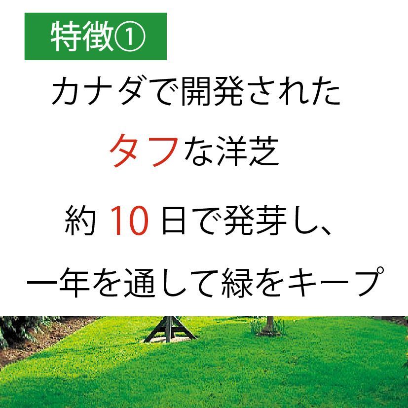 のサムネイル
