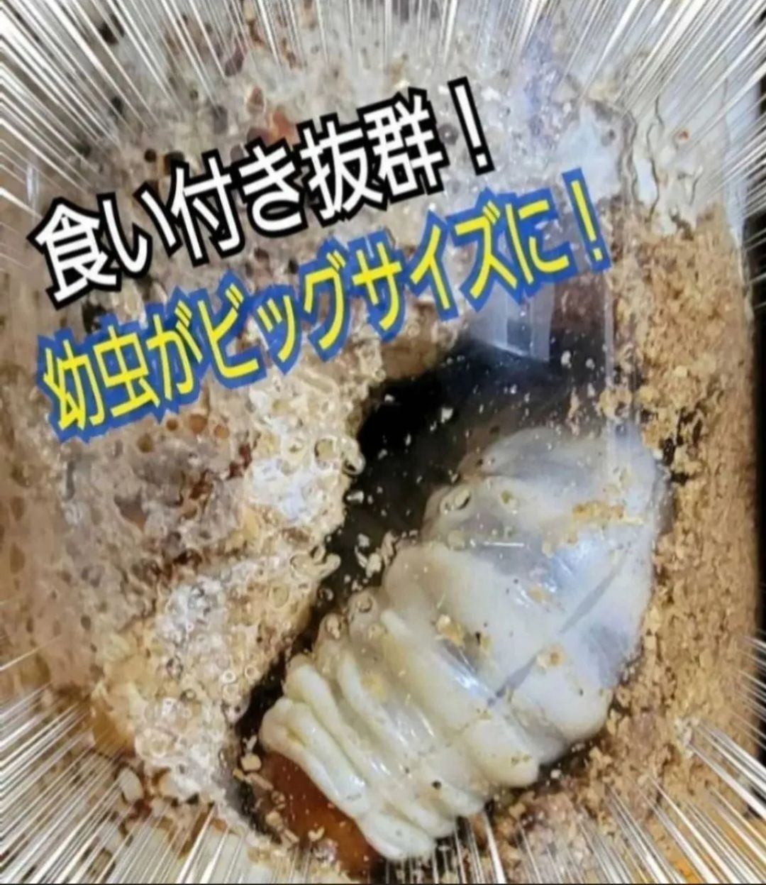 10本セット 特殊アミノ酸強化配合
