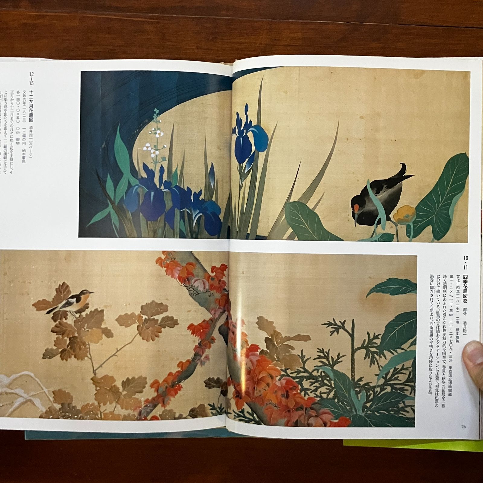 琳派美術館 1 (宗達と琳派の源流)から4まで　全巻 宗達と琳派の源流 琳派美術館 (1) (琳派美術館) | 狩野 博幸
