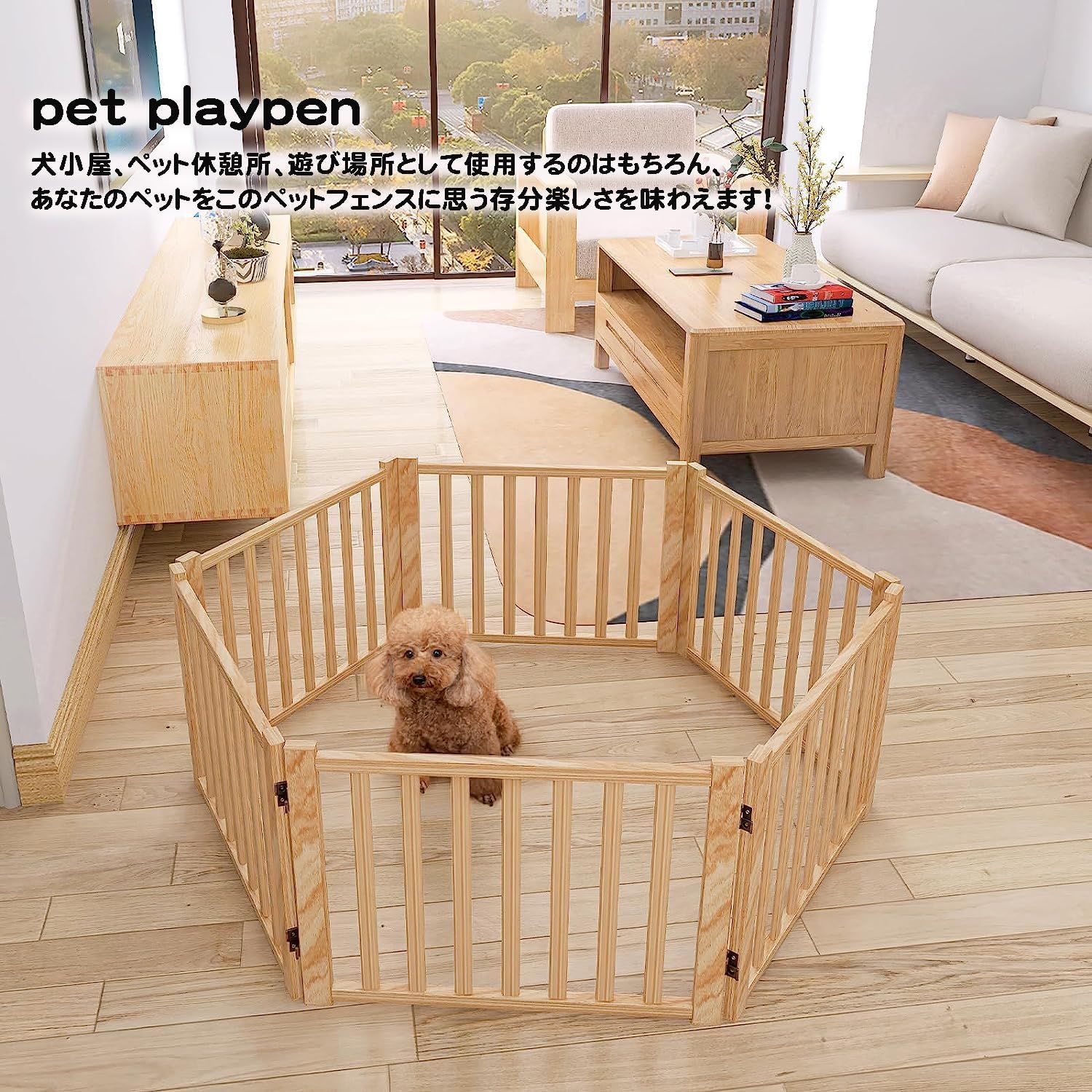 犬