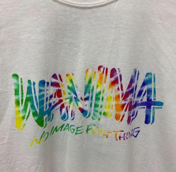 WANIMA SMTMT Tシャツ ホワイト Lサイズ WANIMA白Tシャツピザ顔 M - メルカリ