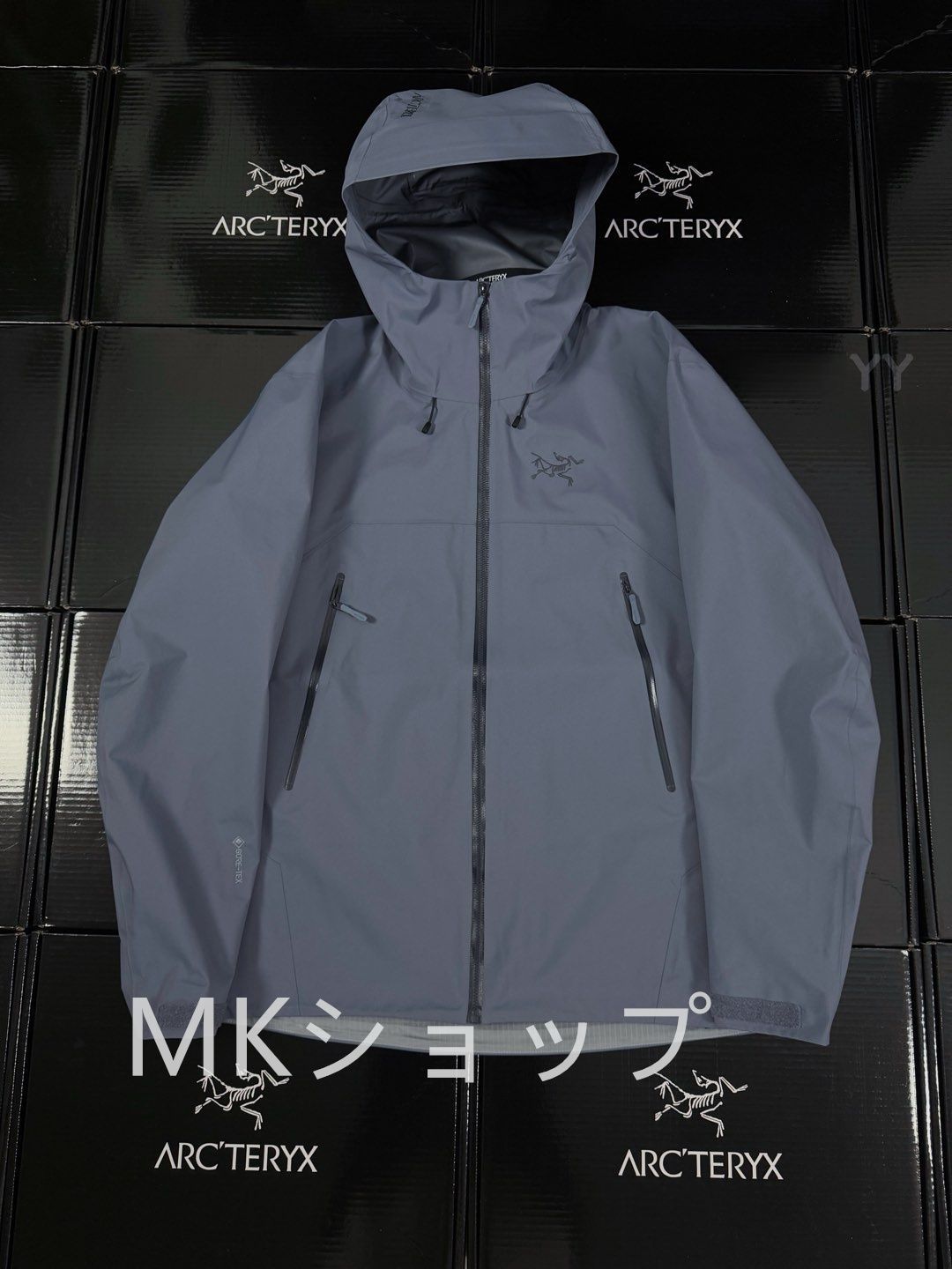 Arc'teryx Beta SL GORE-TEX ハードシェルジャケット 防水 防風