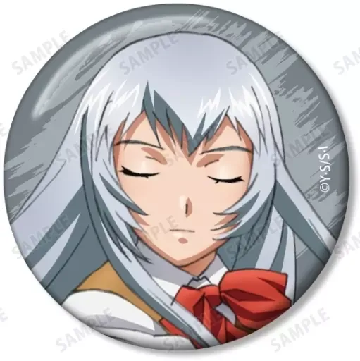 2025年最新】一騎当千 張飛益徳の人気アイテム - メルカリ