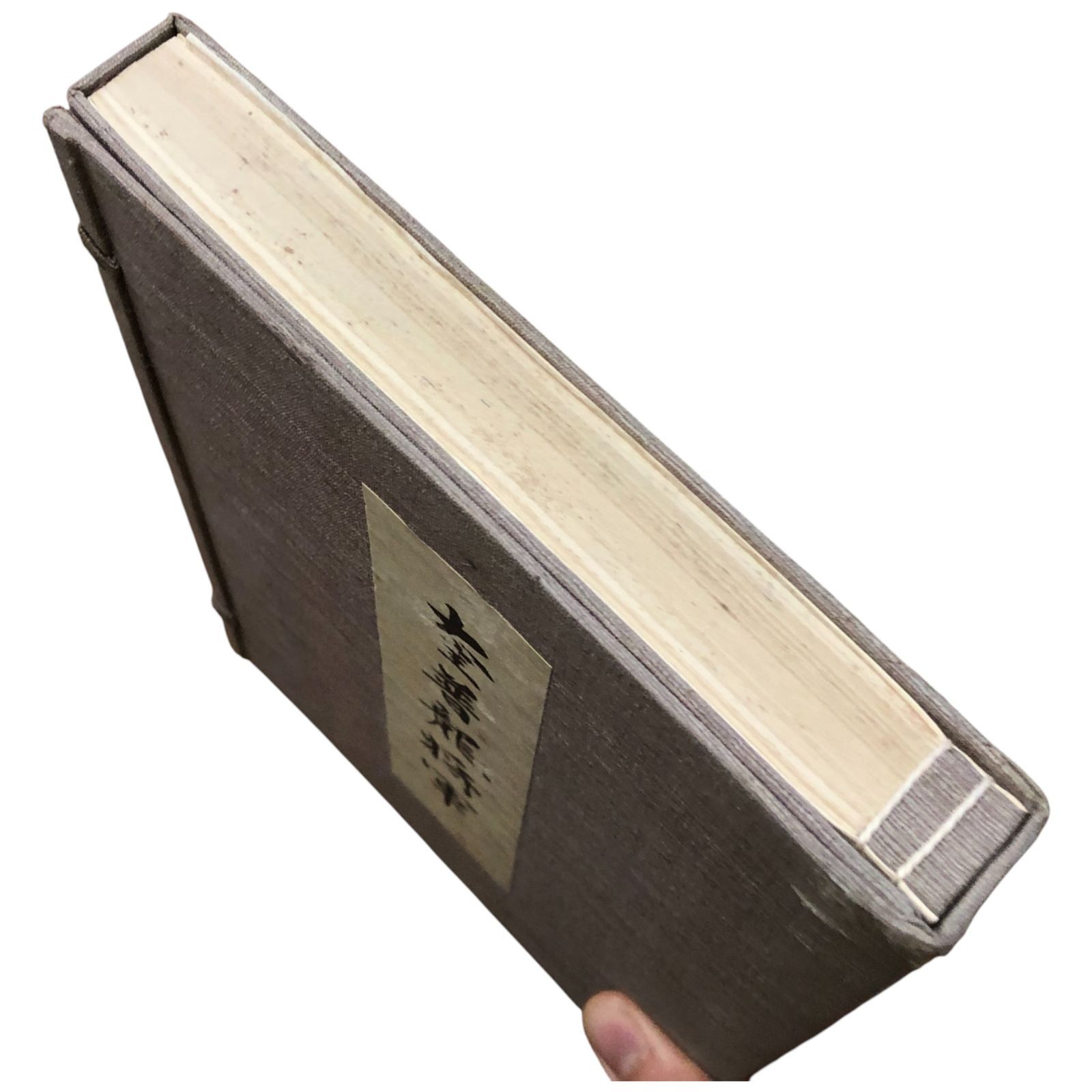 奎普龍将軍 ケープロン将軍 谷邨一佐 南洋堂 北海道開拓 開拓使最高顧問 明治時代蝦夷地開拓の歴史 グラント大統領来朝の実相 ee18ろynm1