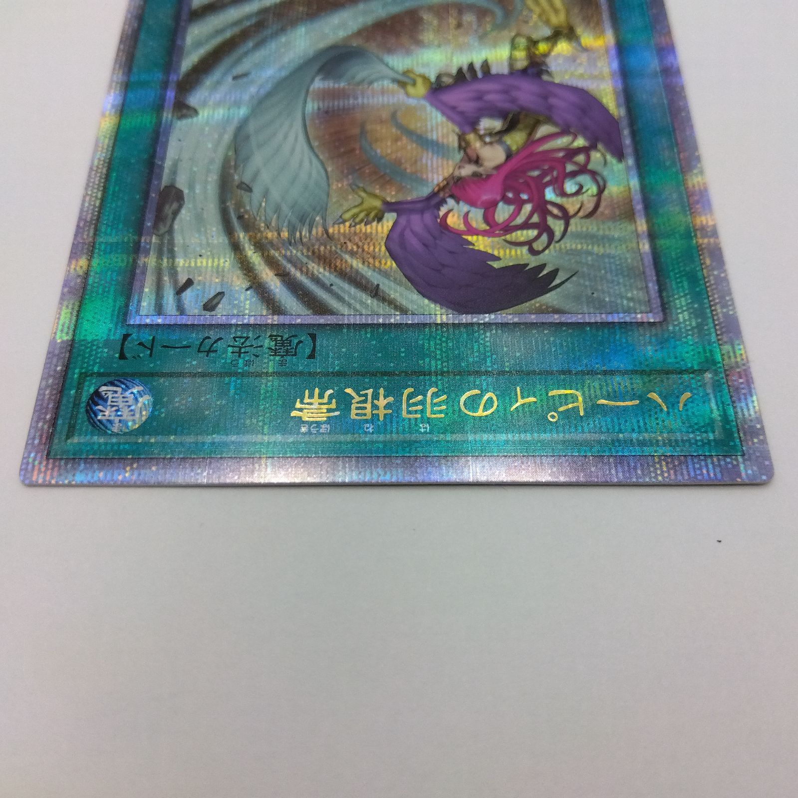 遊戯王 ハーピィの羽根箒 絵違い 新規絵 QCSE/クオシク 25th