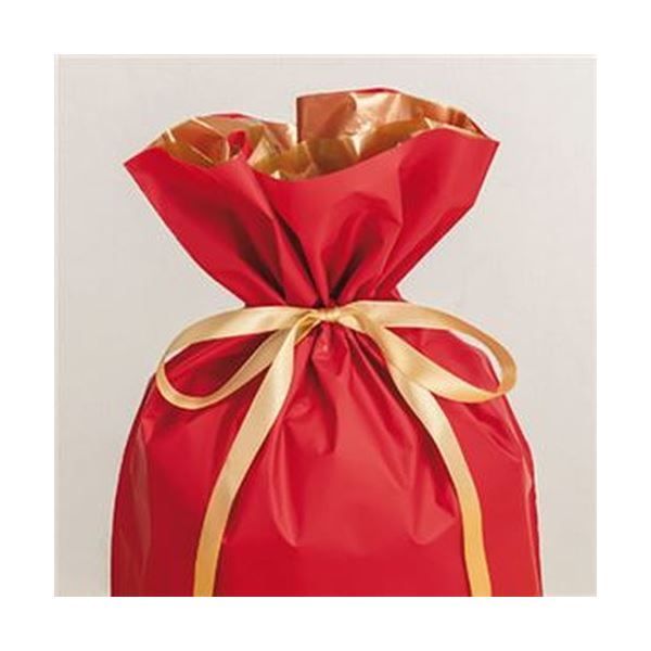 まとめ 店研創意 ストア エキスプレス梨地リボン付ギフトバッグ ネイビー 24cm 1パック 20枚 ×10セット