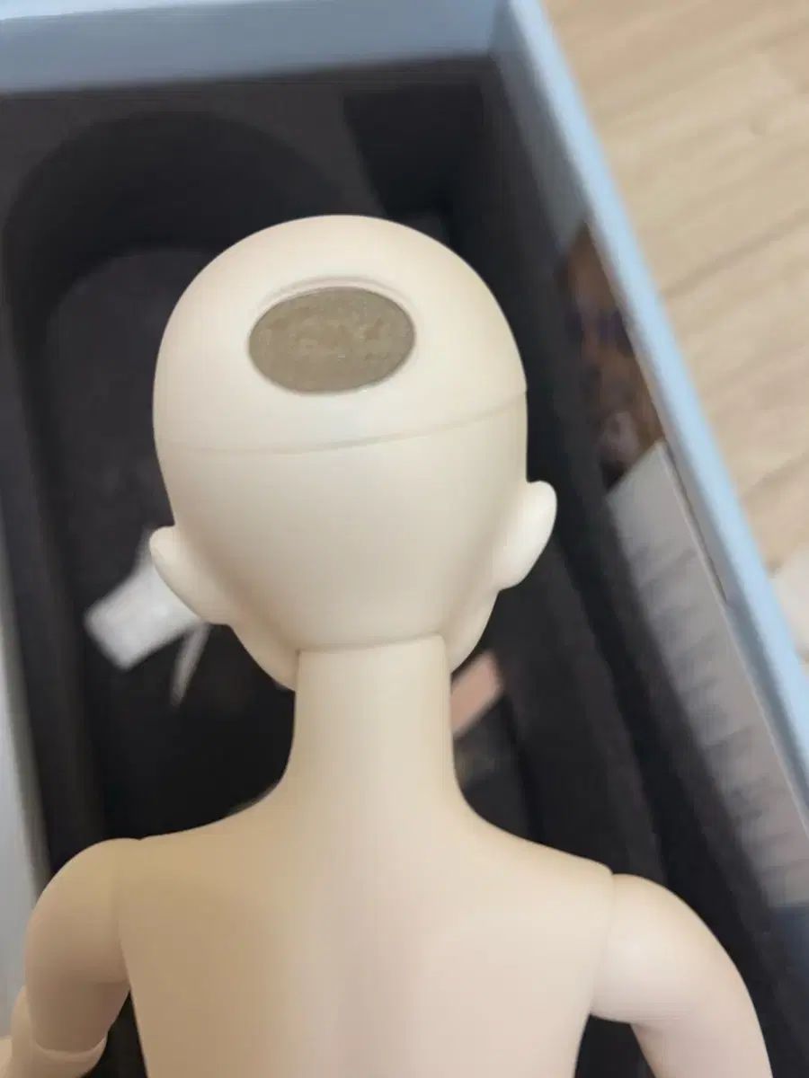リナ シュシュ