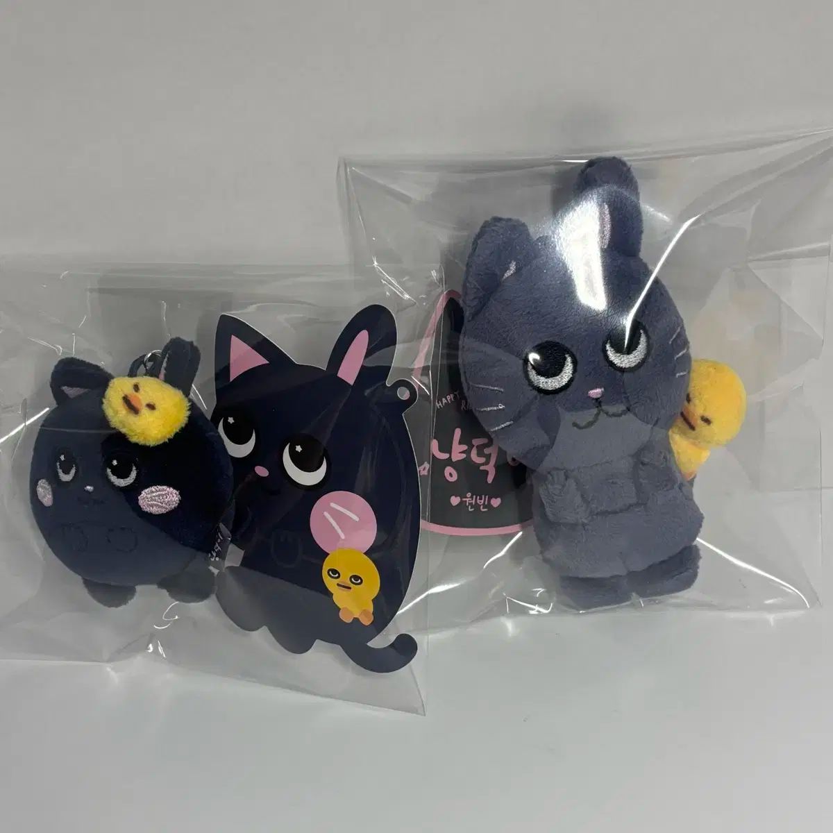 RIIZE(ライズ) ウォンビン(WONBIN) 人形 ぬいぐるみ ぬい キティ