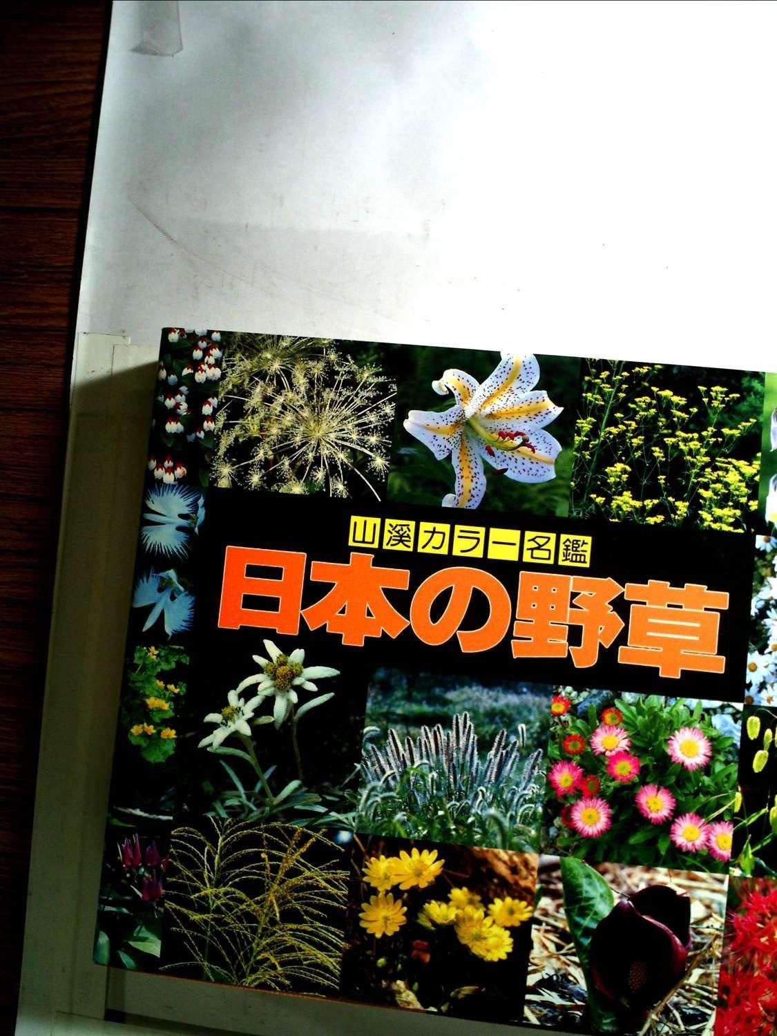 山渓カラー名鑑 日本の野草 増補改訂新版＋旧版1冊の計2冊セット。 山