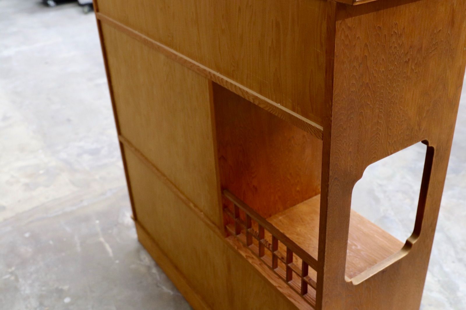 GMIK551 世界遺産屋久杉