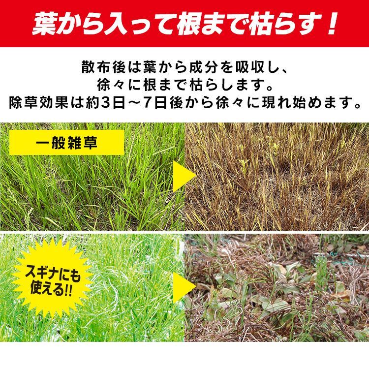 アイリスオーヤマ