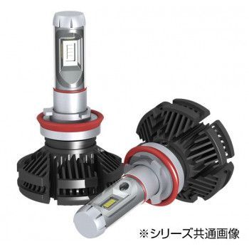 H11 6500K