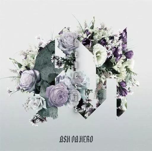 邦楽 NSDP YOU COMPLETE ME CD ASH DA HERO 中古】邦楽CD ASH DA HERO / Genesis[Blu-ray付初回限定盤] - メルカリ