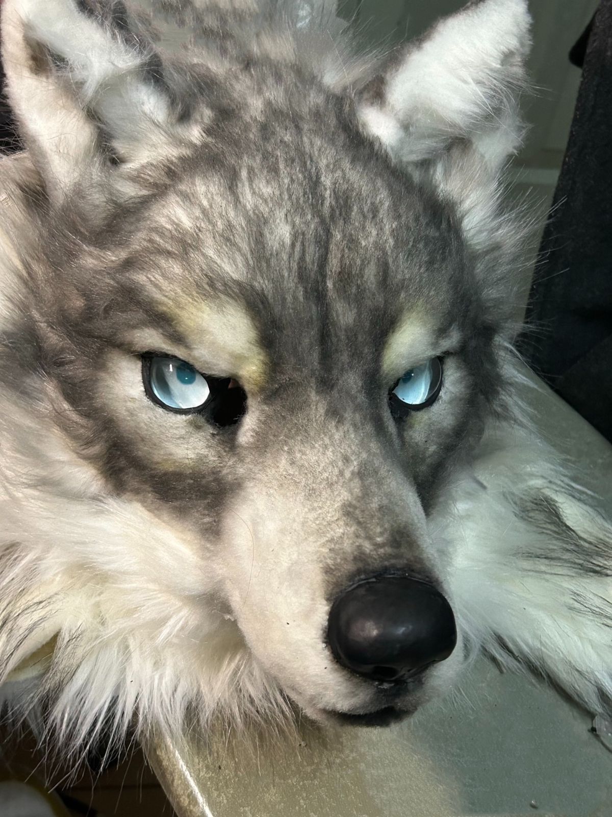 オオカミ ケモノ 着ぐるみ マスク コスプレ コスチューム 一式