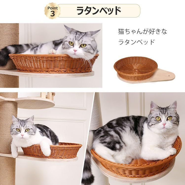 多頭飼い 安定