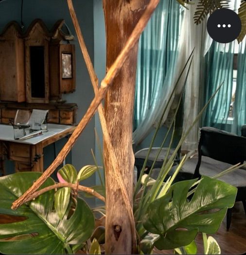 光触媒　人工観葉植物　ウォールグリーン　フェイクグリーン　エバーフレッシュ2t 光触媒 人工観葉植物 ウォールグリーン フェイクグリーン