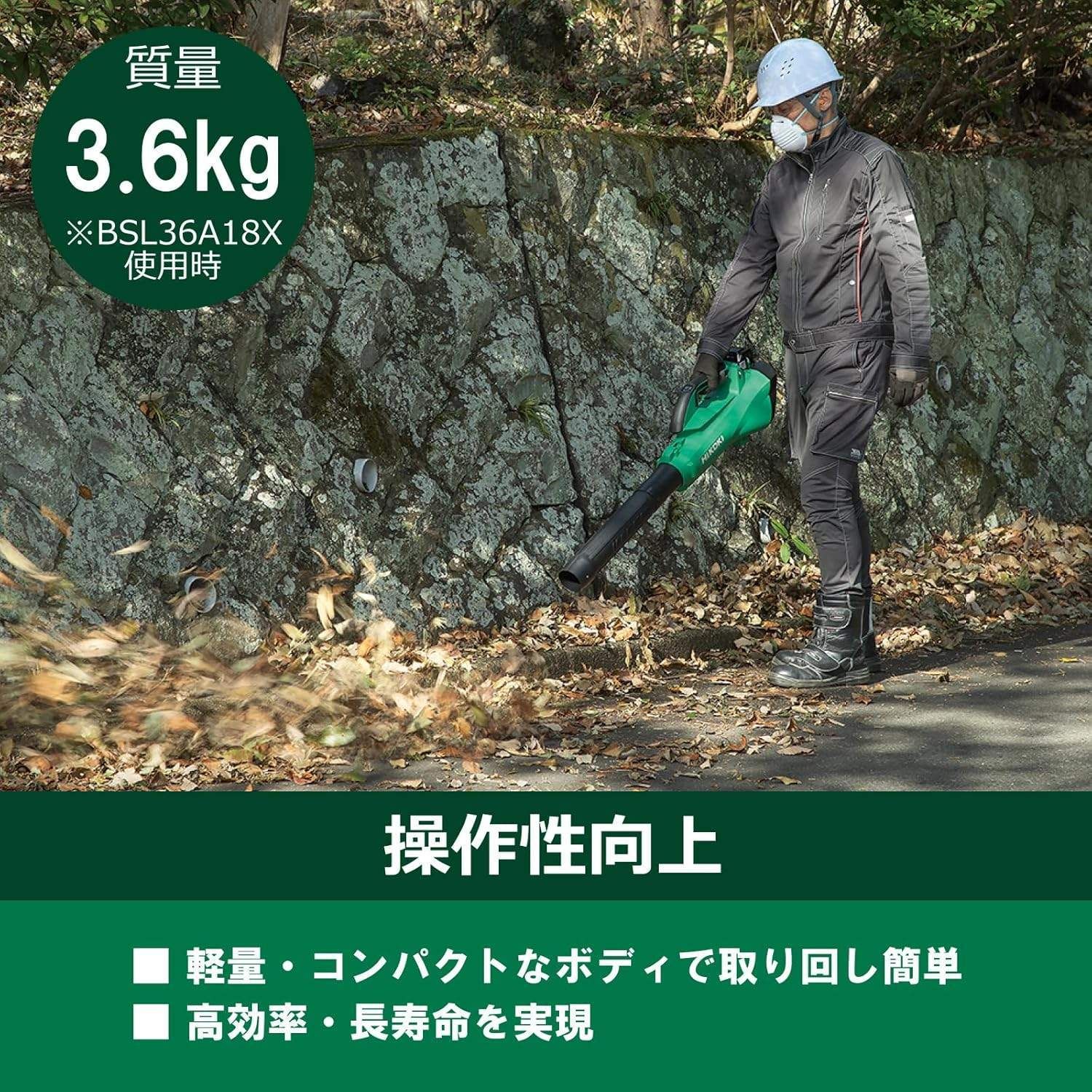 NN 本体のみ