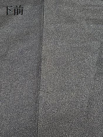 平和屋着物○江戸小紋 作家物 鮫小紋柄 正絹 逸品 AAAY0064zg - メルカリ 