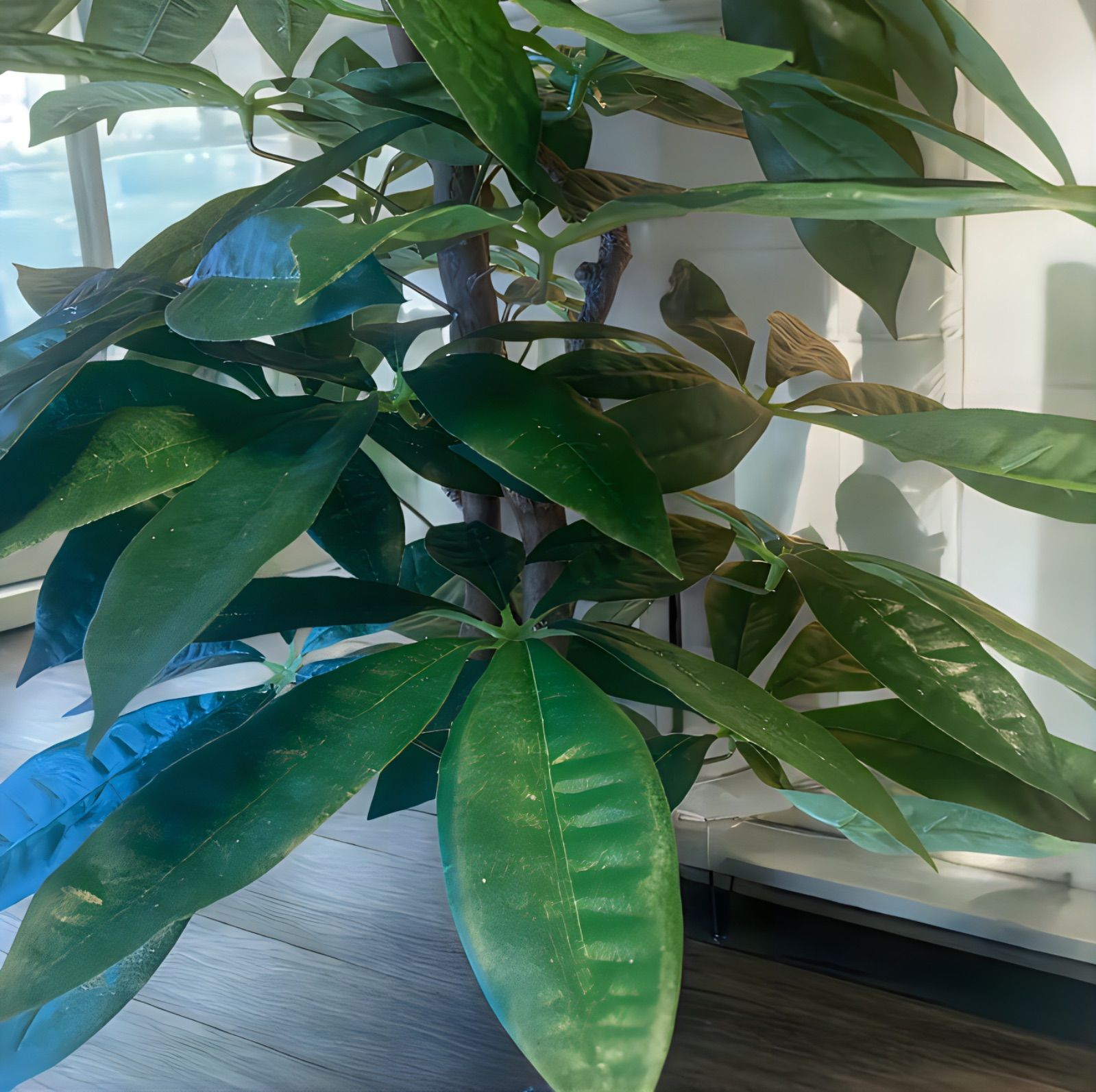 光触媒 人工観葉植物 ウォールグリーン フェイクグリーン スリムパキラ