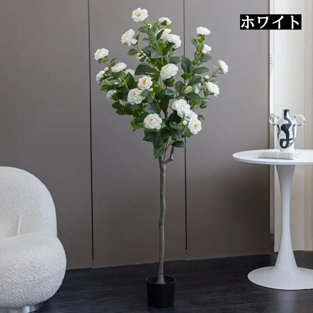 観葉植物
