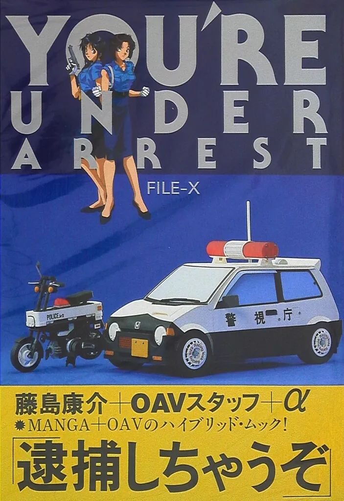 劣化保管品] 逮捕しちゃうぞ 1997年B1サイズ ポスターカレンダー 劣化