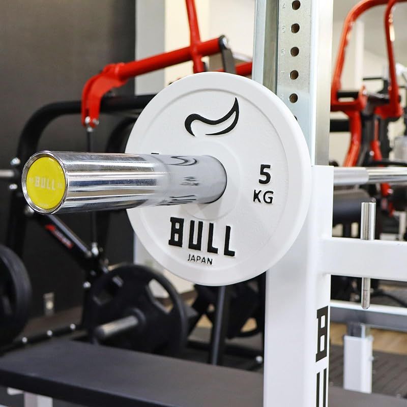 ブル(Bull)パワーリフティングプレート5 2枚1組 IPF(国際パワー