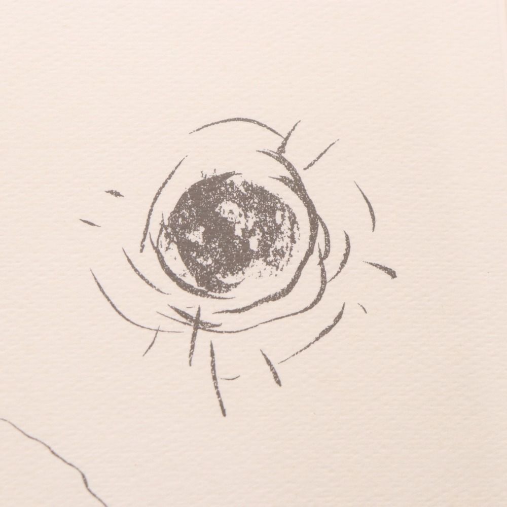 □ 石井竜也 リトグラフ 星の行く方向 米米CLUB 絵画 - メルカリ