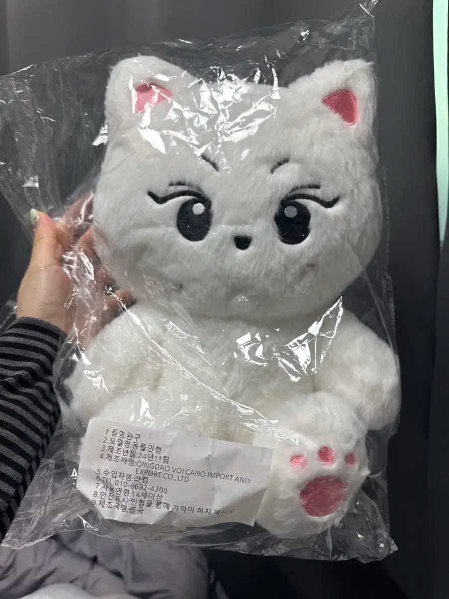 ジョンウォン　30センチ　ぬいぐるみ　ヤンコミ ジョンウォン 30センチ ぬいぐるみ ヤンコミ