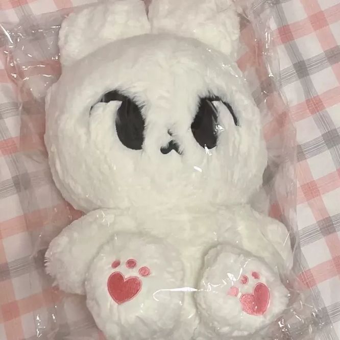 ドヨンぬいぐるみ45cm 新品マスターnct
