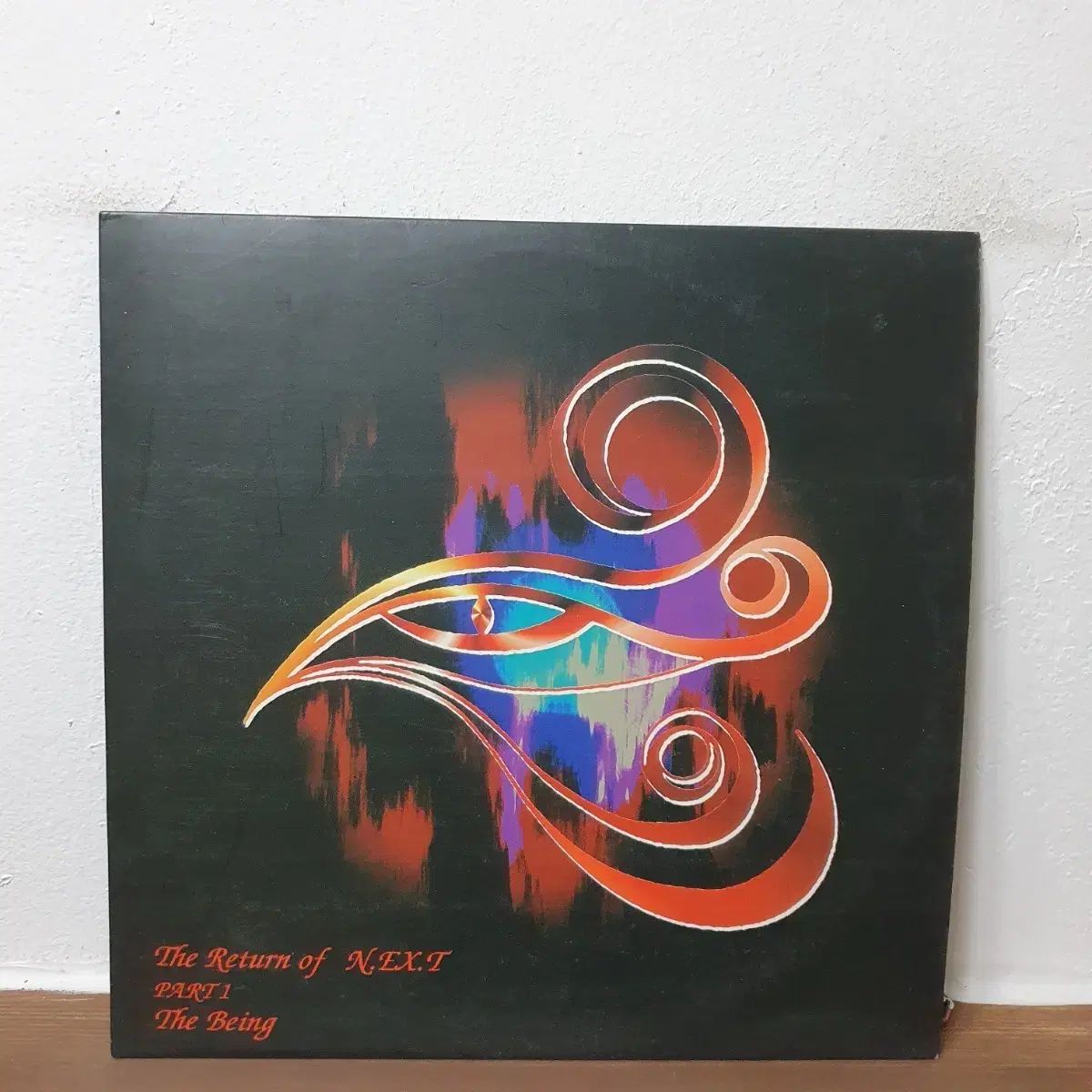 NEXT 2 家 The Return LP 1994 早い ひよこを飛ばす