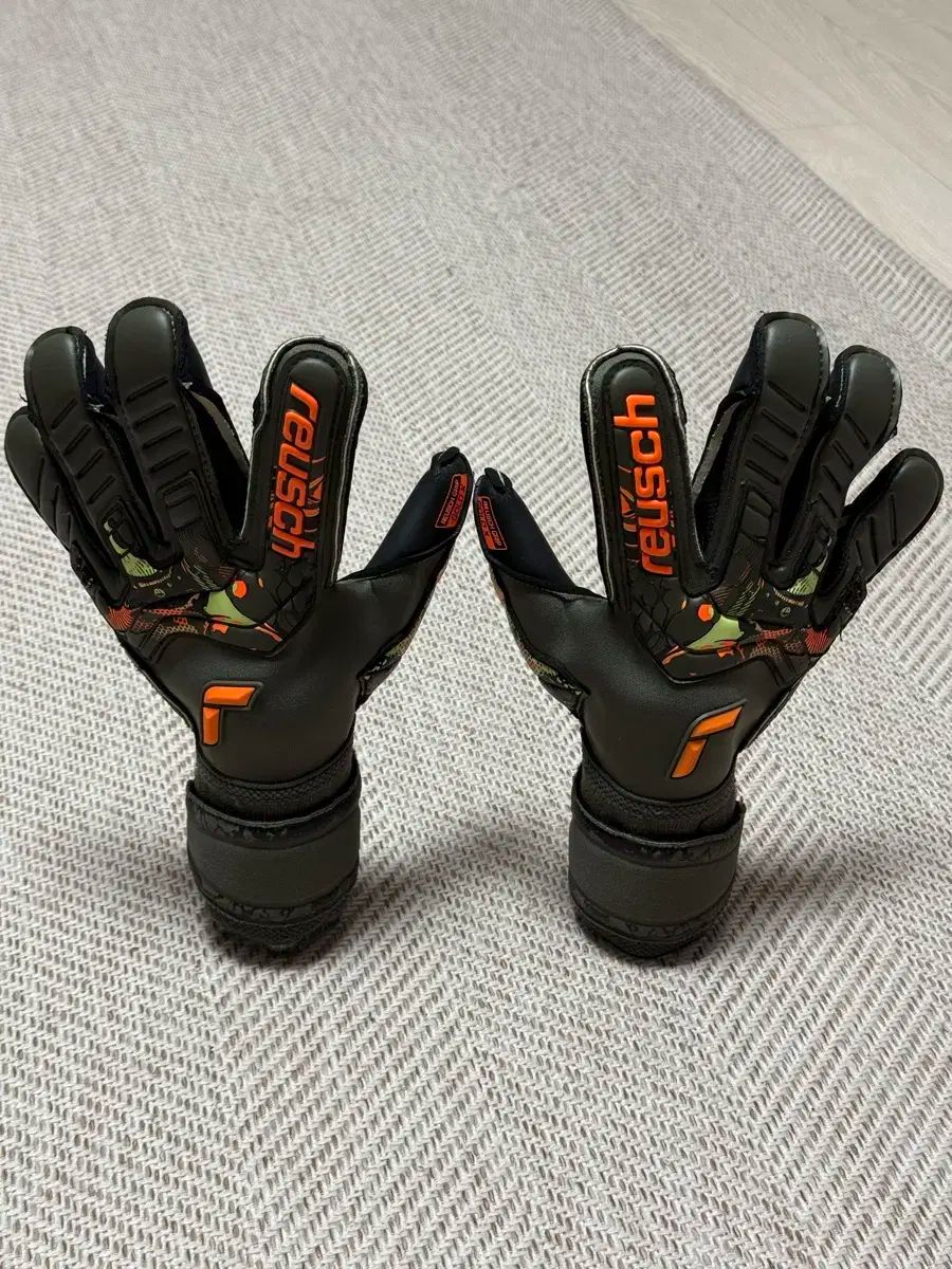 ロイシュ アトラクション キーパーグローブ 9 サブパラグラフ