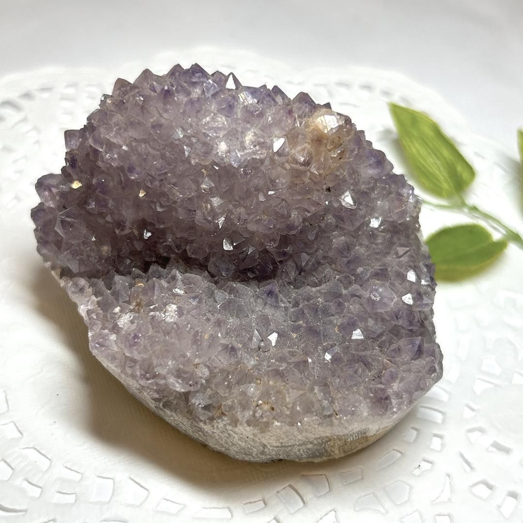 割引 川島睦郎 「 薔薇 」 日本画 花鳥画巨匠 日展評議員 バラ 花の絵