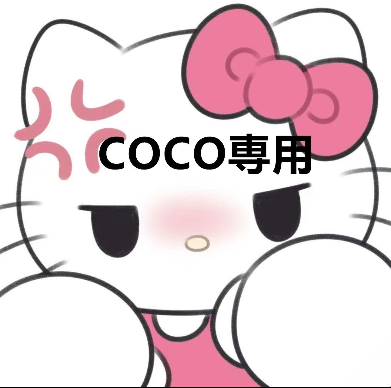 COCO専用