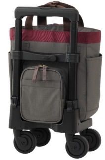 SWANY スワニー キャリーバッグ 新型 D-675 ルバンド TS18サイズ