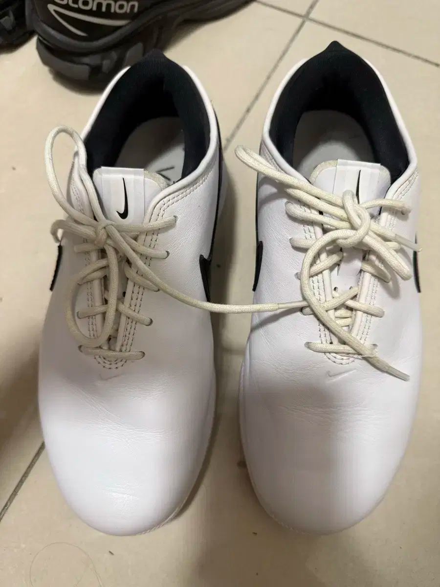 ナイキ ヴィクトリー