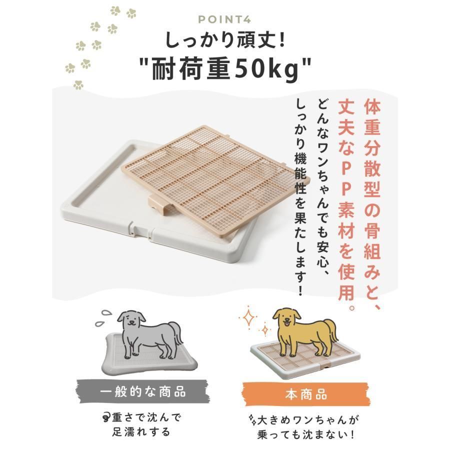 トレーニング