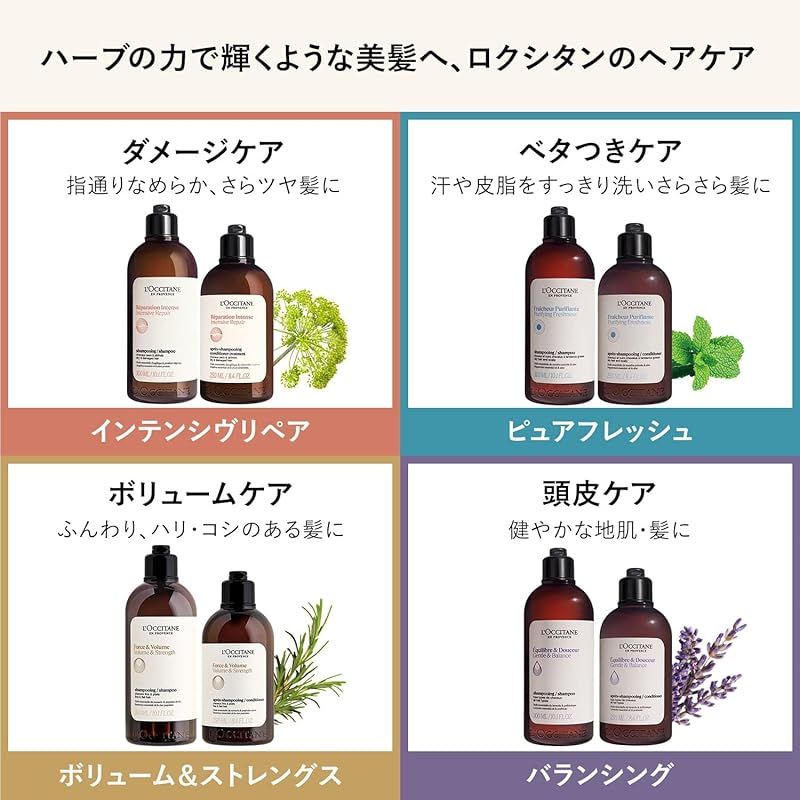 ロクシタン(L'OCCITANE) ピュアフレッシュ コンボ シャンプー