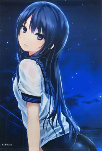 中古】タペストリー SECRET NIGHT-白峰莉花(珈琲貴族) B2