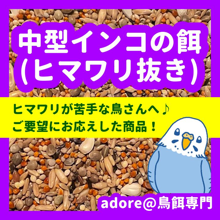 うめもも様専用】鳥の餌セット 鳥用品