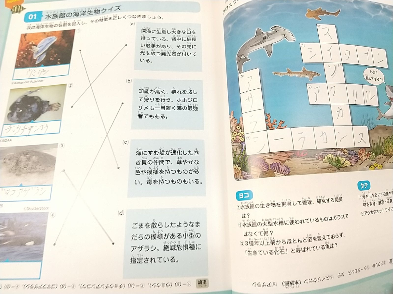 朝日新聞出版 かがくるBOOK