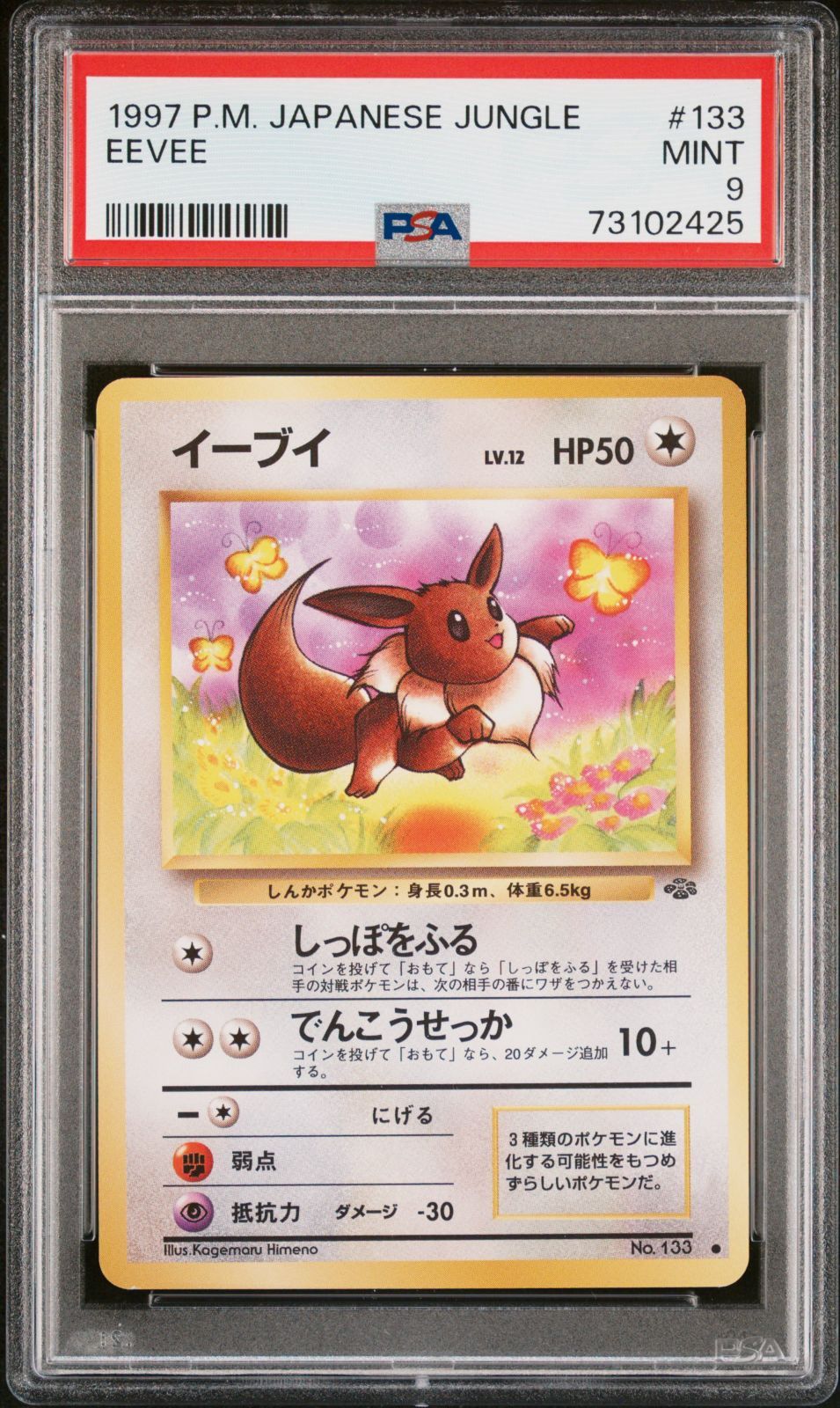 PSA9】ポケモンカード 旧裏面 イーブイ LV.12 ポケカ 拡張パック第2弾 ポケモンジャングル 1997 初期 - メルカリ