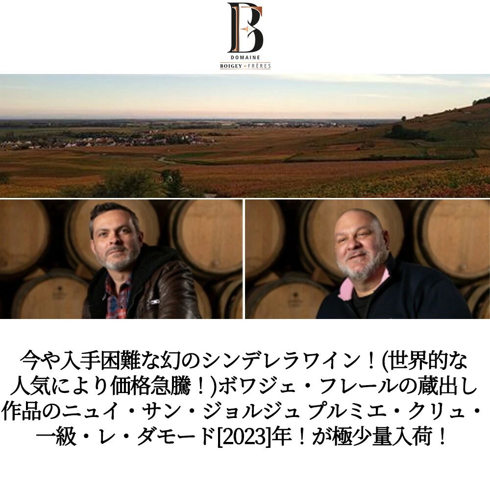 ニュイ サン ジョルジュ プルミエ クリュ 一級 レ ダモード 2023 