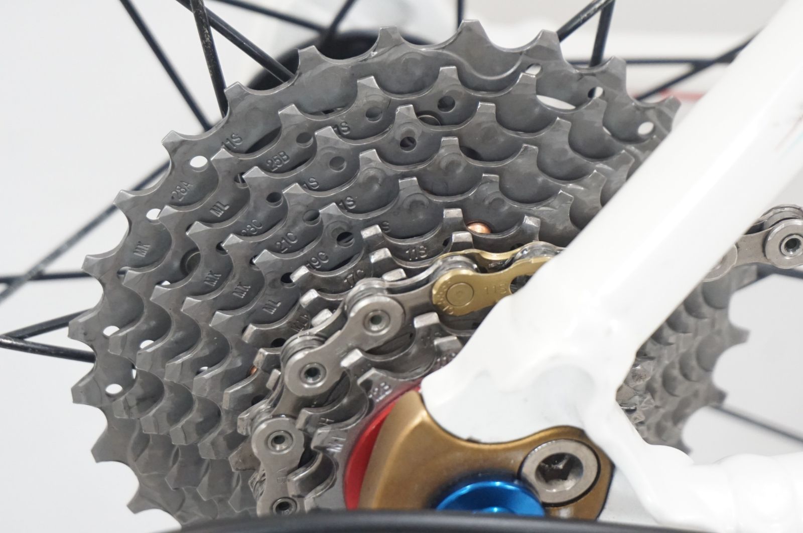 bianchi crono al 1999 model