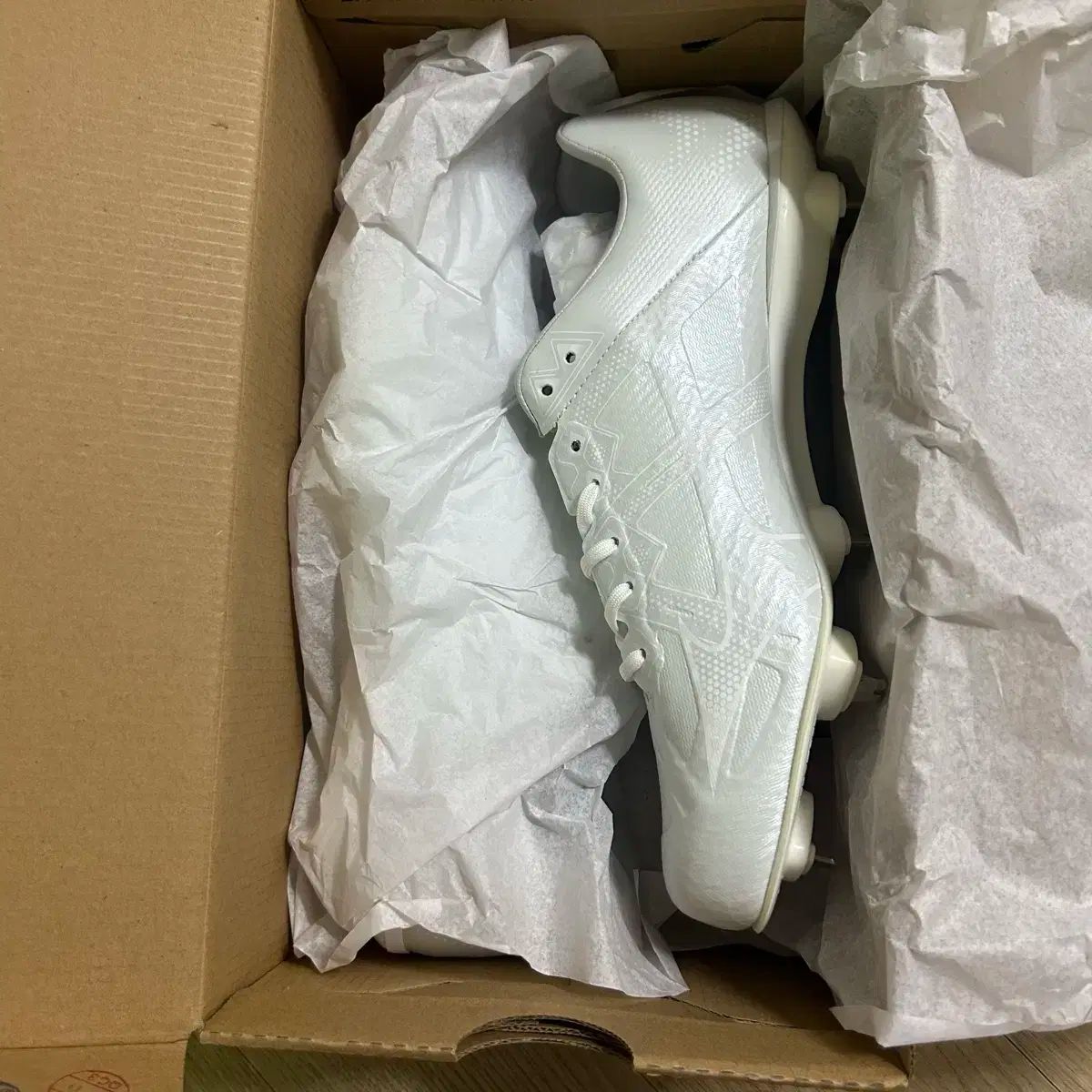 【バイロンさん専用ページ】 mizuno(ミズノ) 金具スパイク 255