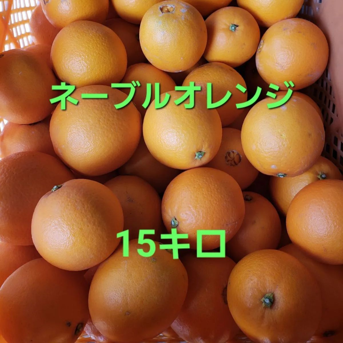 ☆ネーブルオレンジ☆ 15キロ 広島県瀬戸田産 ご家庭用みかん - メルカリ