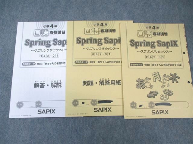 WI01-002 SAPIX 小4 サピックス デイリー/スプリング/サマー 